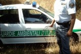 Avellino , Guardie Ambientali D’Italia sez Avellino,  Un altro  veicolo per il soccorso zoofilo