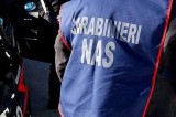 Nas Salerno: Sequestrati dieci tonnellate di alimenti Nas Salerno: Sequestrati dieci tonnellate di alimenti