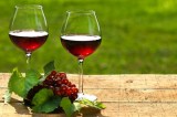 Avellino – Consorzio di tutela dei vini d’Irpinia, rinnovato il consiglio d’amministrazione