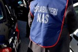 Controlli Carabinieri – Chiuso un salumificio per carenze igienico-sanitarie