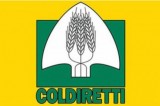 Coldiretti Avellino – Sconti per aziende zootecniche