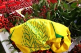 Coldiretti Napoli: la ciliega regina della frutta alla kermesse al parco di Chiaiano