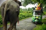 In India con l’Ape – car, la missione di “Bianco, Rossi e Verdoni”