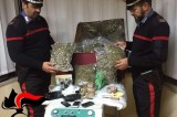 Bagnoli Irpino – Trafficante albanese sorpreso in possesso di 1kg di cocaina e 11kg di marijuana