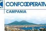 Confcooperative Campania: “Educare e guidare i giovani a scegliere la cooperativa”