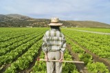 “Oscar Green 2017″ – Al via le iscrizioni per i giovani agricoltori