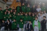 Avellino – Stage di combattimento al Palasport di Grottolella per l’ Asd Taekwondo Avellino