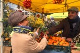 Napoli – Gli Agricoltori di “Campagna Amica” donano mimose