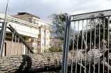 Atripalda – Maltempo: un albero crolla sui cancelli della Villa Comunale