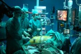 “Best Surgery” – Al via la formazione di specialisti in chirurgia laparoscopica mini invasiva