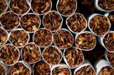 Coldiretti – Philip Morris investe altri 500milioni di euro per tabacco “senza fumo”