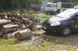 San Martino Valle Caudina – Tentato furto di legna, arrestato un giovane