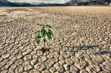 Allarme siccità in Campania: richiesto lo stato di calamità
