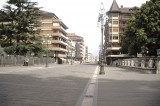 Avellino – Rubavano piante sul Corso: commesse incastrate dalle telecamere