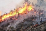 Baiano – Le prescrizioni del Comune contro l’emergenza incendi
