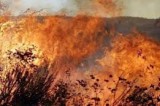 Coldiretti – Fondi per problematiche di incendi e siccità