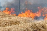 Forino – Ustionati dalle fiamme tre operai forestali