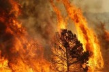 Incendio lungo il raccordo autostradale Salerno-Avellino