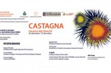 “Castagna, musica dei boschi” – A Montella al via i due primi eventi il 30 settembre e il 1 ottobre