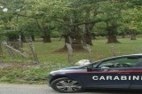 Serino – Sorpresi a rubare castagne e bloccati dai Carabinieri