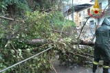 Avellino – Maltempo: ancora danni in centro città