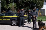 Salerno – Le Fiamme Gialle sequestrano 30 grammi di marijuana e hashish