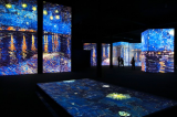 A Napoli la mostra multimediale “Van Gogh-The Immersive Experience”