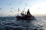 La Regione approva le nuove politiche sulla pesca