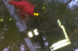 Atripalda – Salvato bambino dai Vigili del Fuoco impigliato su di un albero ad un’altezza di circa otto metri