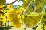 Export vini, Coldiretti lancia l’iniziativa ai Consorzi campani
