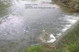 Flumeri – Continua il degrado ambientale del fiume Ufita