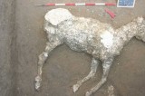 Pompei – Ritrovato per la prima volta un calco integro di un equino