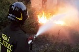 Lotta agli incendi boschivi: le raccomandazioni 2018, l’impegno delle prefetture