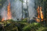 Avellino – Problema per prevenzione incendi Avellino – Problema per prevenzione incendi