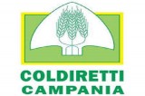 Coldiretti – Fermo pesca in Campania per 30 giorni