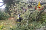 Mercogliano – Maltempo, grosso albero cade su un’abitazione