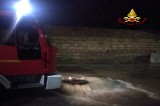Avellino – Lavoro intensivo dei vigili del fuoco causa il maltempo