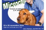 Grottaminarda – Microchip gratuiti per tutti i cani, al via la campagna “Anagrafe Canina”