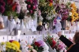 Napoli – Ognissanti e Defunti, blitz della Gdf nei cimiteri: sotto sequestro piante e fiori