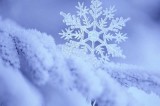 Avellino – Comune, report delle attività svolte durante l’emergenza neve