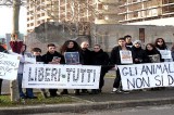 Salerno – Manifestazione contro il circo di animali in città
