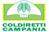 Coldiretti Campania, riconoscimento e costituzione dei distretti rurali e agroalimentari di qualità