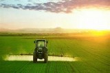 PNRR: La Regione chiede al Governo 641 mln per l’agricoltura