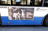 Autobus trasformati in “manifesti itineranti” per sensibilizzare sulla causa animalista