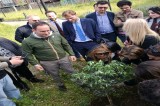 Amministrative Avellino – I giovani di Cipriano piantano un ulivo a San Tommaso