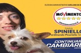 Amminstrative 2019 – Avellino, Spiniello: ‘Il mio impegno per la tutela degli animali in città’