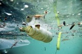 Inquinamento da plastica, commenta Greenpeace