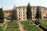 Avellino – iXemWine: pronta la piattaforma per la viticoltura del Politecnico di Torino