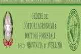Avellino – Graduatoria provvisoria per “Supporto per gli investimenti nelle aziende agricole”