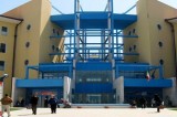 Rosa, rosso e blu: all’Azienda Moscati arrivano gli alberi di Natale Rosa, rosso e blu: all’Azienda Moscati arrivano gli alberi di Natale